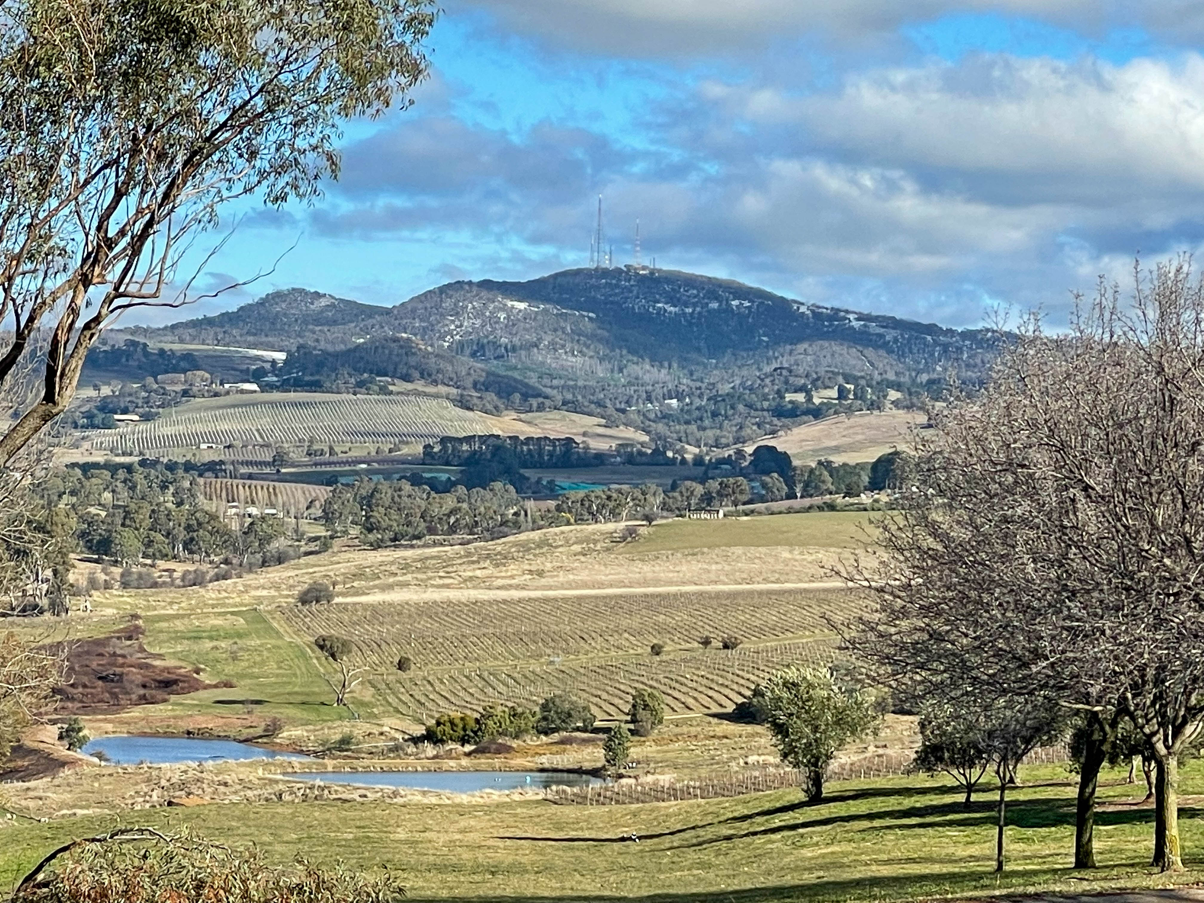 Mt Canobolas from Hoosegg Cellar Door